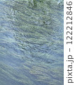 Gentle ripples on a lake with algae surface reflecting nature's tranquility in a serene environment. Vertical background 122212846