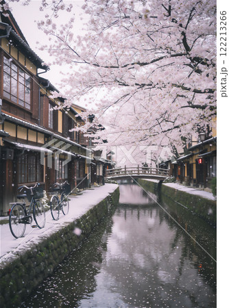 雪化粧の桜並木、静寂に包まれた日本の風景 122213266
