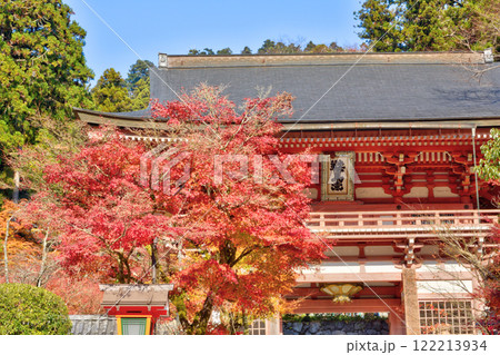 鞍馬寺の紅葉 122213934