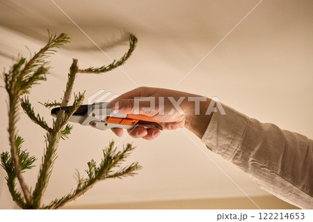 A Close Up of Needlelike Sprouts on a Branch of a Vibrant Green Plant in Natures Beauty 122214653