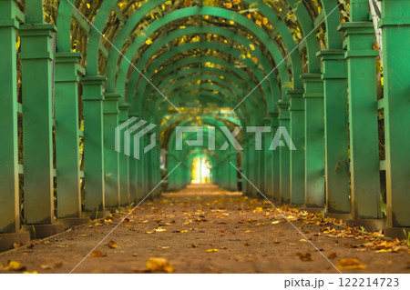 Vibrant green arches creating a serene pathway at Arkhangelskoye estate during autumn 122214723