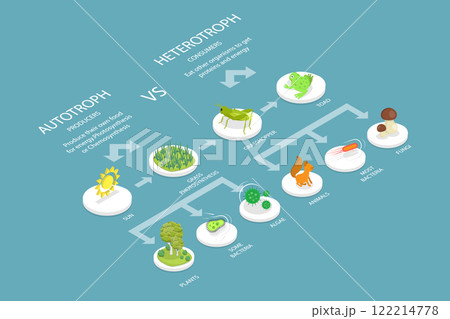 3D Isometric Flat Vector Illustration of Heterotroph And Autotroph, Food Chain 122214778