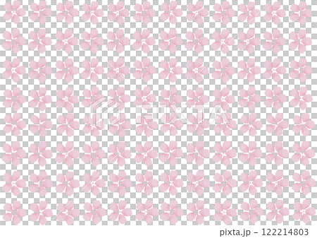 Cherry Blossoms   122214803