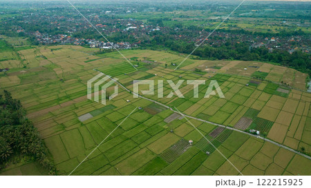 Rice Terrace, Ubud, Bali, Indonesia. Top view 122215925