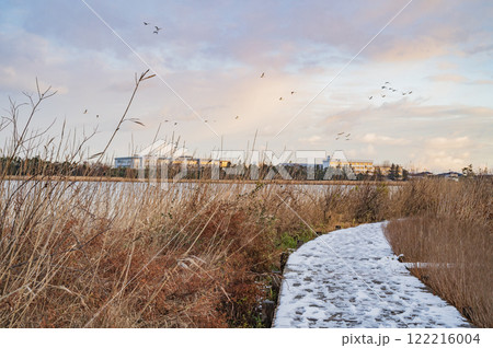 新潟 早朝の佐潟 新潟 早朝の佐潟 122216004