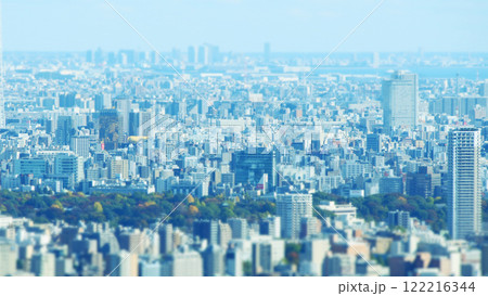 展望台から見た街並み　チルトシフト 122216344