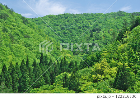 新緑に包まれる山間の風景（吉賀町） 122216530