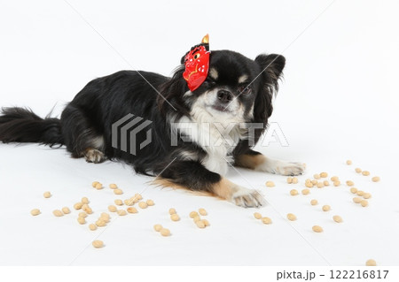 節分のお面をつけた黒いチワワと豆まきの様子 122216817