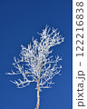 樹氷 122216838