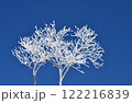 樹氷 122216839