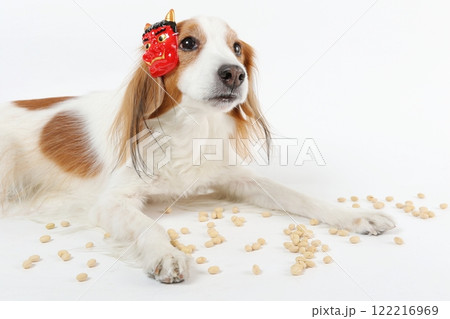 節分のお面をつけた犬と豆まきの風景 節分のお面をつけた犬と豆まきの風景 122216969