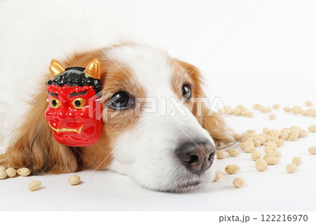節分のお面をつけた犬と豆まきの風景 122216970