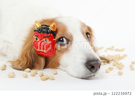節分のお面をつけた犬と豆まきの風景 122216972