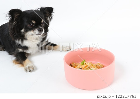 手作りごはんを前に待つ黒いチワワ 122217763