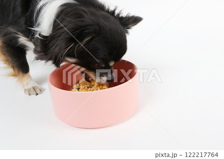 ピンクのボウルで手作りごはんを食べる黒いチワワ ピンクのボウルで手作りごはんを食べる黒いチワワ 122217764