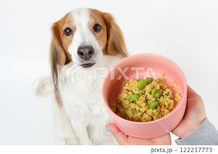 ピンクのボウルに入った手作りご飯を前にするコーイケルホンディエ 122217773