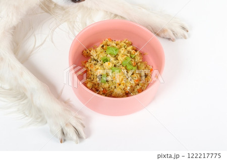 ピンクのボウルに入った手作りご飯を前にするコーイケルホンディエ 122217775