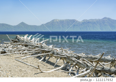 新緑の支笏湖、あばら骨みたいな流木　千歳市 122217932