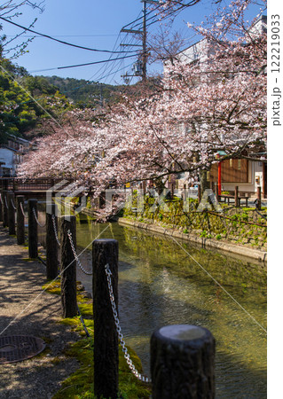 城崎温泉夜の桜～さくら橋近辺～(兵庫県-城崎温泉) 122219033
