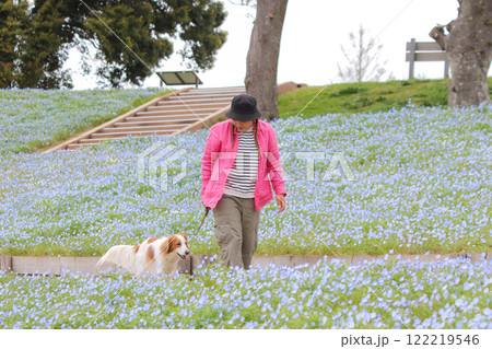 ネモフィラの丘で愛犬と散歩するひととき 122219546