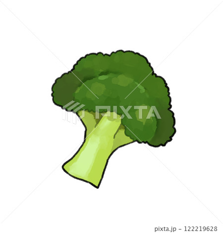 ブロッコリーのイラスト 122219628