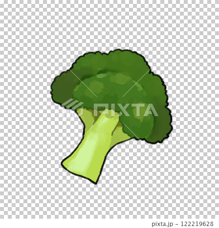 西蘭花的插圖 122219628