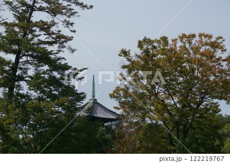 なごや七福神めぐり　八事興正寺　五重塔 122219767