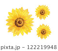 水彩で描いたひまわりの花の切り抜き 122219948