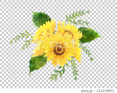 watercolor illustration of yellow sunflower 122219953