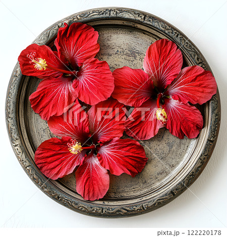 flowers on the white background 122220178