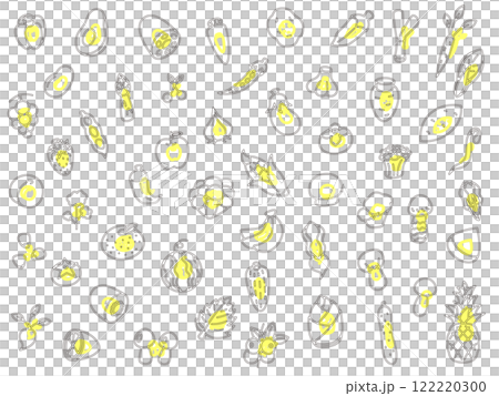 アウトライン野菜果物キノコのアイコンセット 122220300