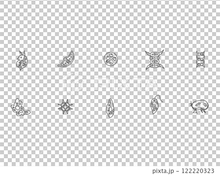 線画微生物のイラストアイコンセット 122220323