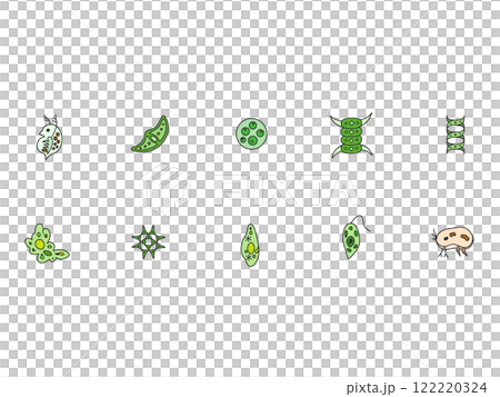 Color microorganism illustration icon set Color microorganism illustration icon set 122220324