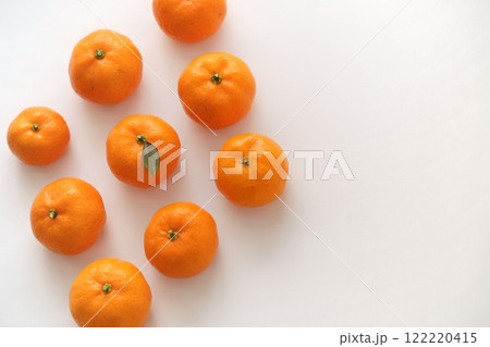 コロンと可愛い小さなみかん(3~4cm、3:2) コロンと可愛い小さなみかん(3~4cm、3:2) 122220415