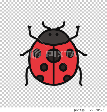 てんとう虫 122220523