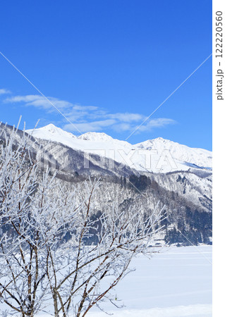 冬の白馬　霧氷と白馬三山 122220560