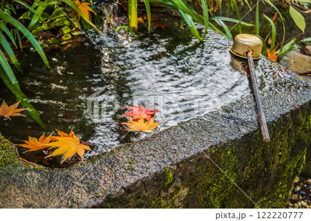 【武田神社】姫の井戸のお水【躑躅ヶ崎館跡】 【武田神社】姫の井戸のお水【躑躅ヶ崎館跡】 122220777