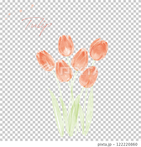 赤いチューリップの手描き水彩画イラスト2 122220860