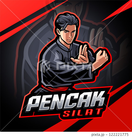 Pencak silat esport mascot logo design 122221775