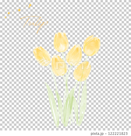 黄色いチューリップの手描き水彩画イラスト2 122221823