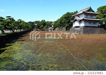 旧江戸城(皇居)の巽櫓【東京都千代田区】 旧江戸城(皇居)の巽櫓【東京都千代田区】 122223061