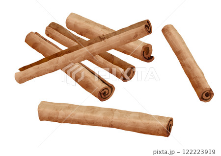 シナモンの水彩風ベクターイラスト シナモンの水彩風ベクターイラスト 122223919