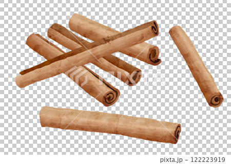 シナモンの水彩風ベクターイラスト シナモンの水彩風ベクターイラスト 122223919