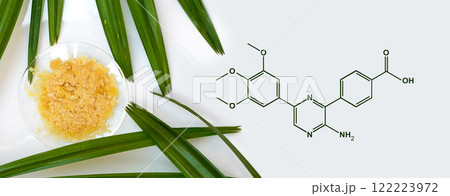 Organic Carnauba Wax in Chemical Watch Glass with molecular structure place next to broadleaf lady palm leaves. Chemical ingredient used in cosmetic industry. Organic Carnauba Wax in Chemical Watch Glass with molecular structure place next to broadleaf lady palm leaves. Chemical ingredient used in cosmetic industry. 122223972