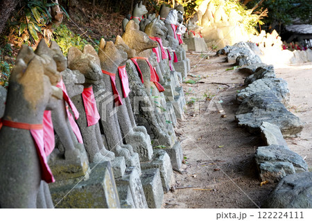 役目を終えて魂は神様の元に戻った ひっそり佇むお狐様たち 122224111