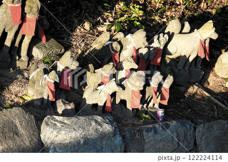 役目を終えて魂は神様の元に戻った 夕陽を浴びてひっそり佇むお狐様たち 122224114