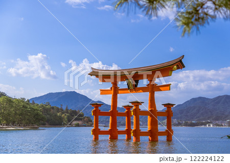 【広島宮島 大鳥居と松】 【広島宮島 大鳥居と松】 122224122