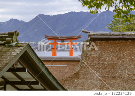 【広島宮島　神社の間からの大鳥居】 122224129