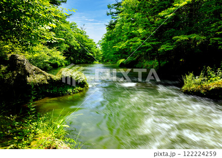 新緑の渓流風景 122224259
