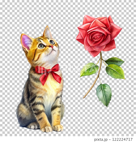 Cat in the world Rose Bow Clipart Watercolor  122224717